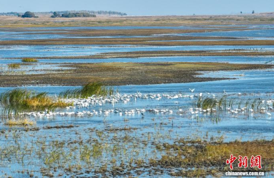 10��16��������ĪĪ����Ҽ�(j��)��Ȼ���o(h��)�^(q��)��(n��i)�������ڑ�ˮ��(�o�˙C(j��)��Ƭ)�w��� �z