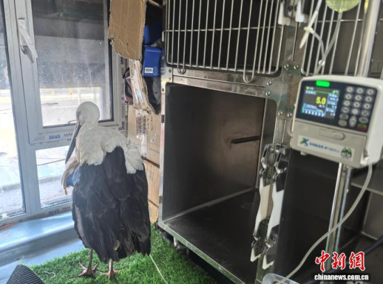 �܂��Ė|�����X���ڽ���ݔҺ�ί�����ʯ���� �z