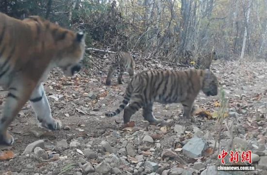 2025���ږ|���������ҹ��@�Ĕz���Ė|������(��ҕ��ý���D)