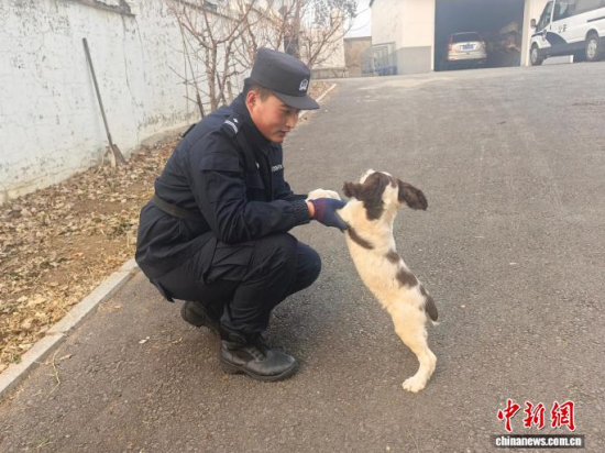 ���Ҳ������c�[�����B(y��ng)�H�ܶ�����ʯ���� �z