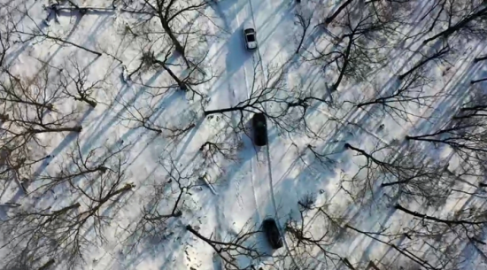 ���c���{܇��Խɭ���� �Ժ���ί���������D